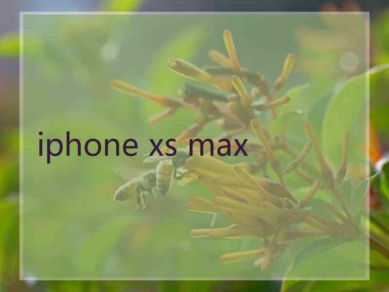 iphone xs max