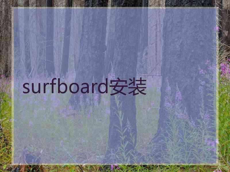 surfboard安装