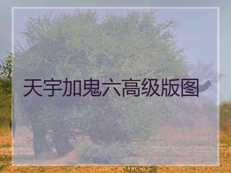 天宇加鬼六高级版图