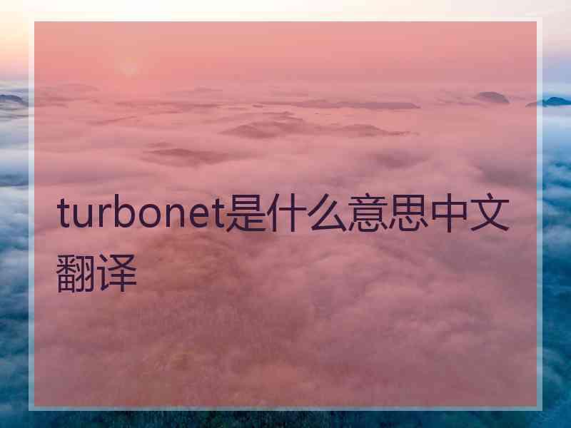 turbonet是什么意思中文翻译