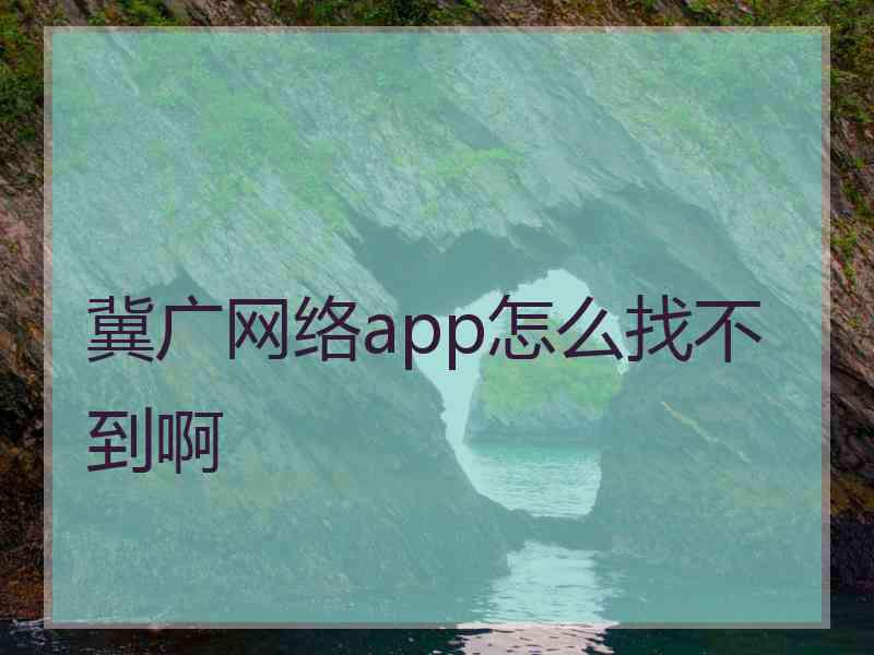 冀广网络app怎么找不到啊