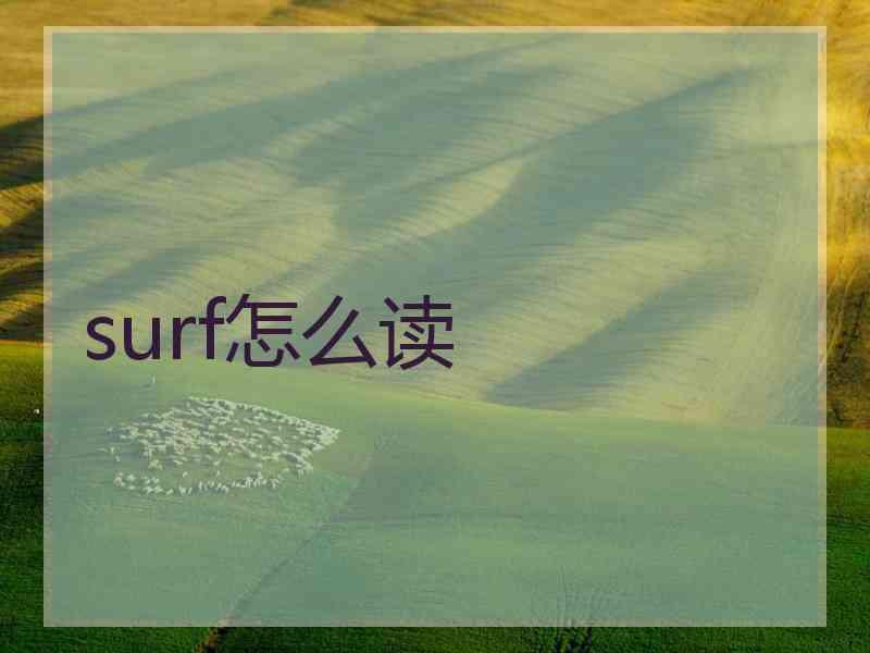 surf怎么读