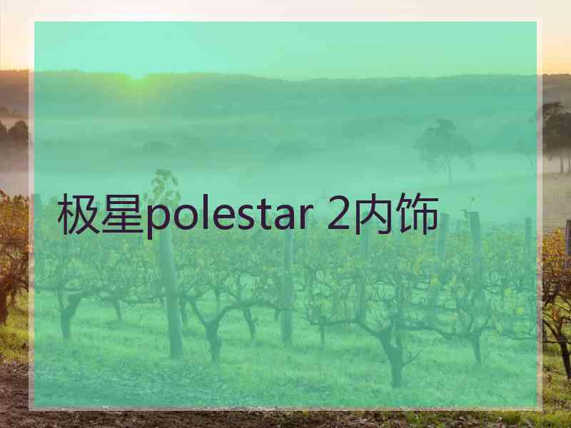 极星polestar 2内饰