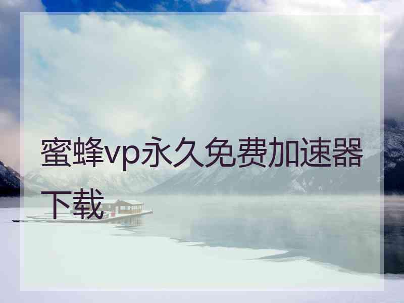 蜜蜂vp永久免费加速器下载