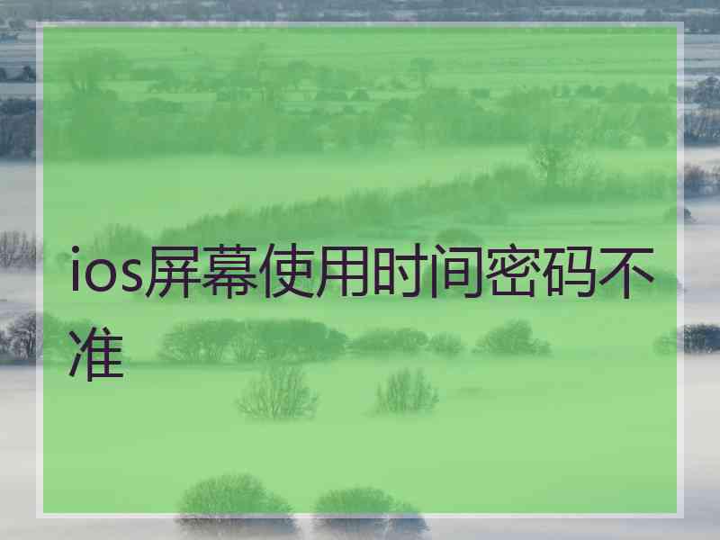 ios屏幕使用时间密码不准