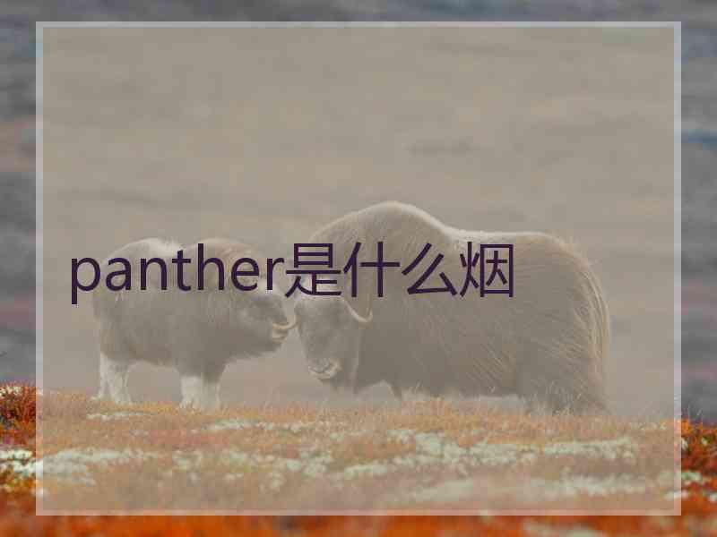 panther是什么烟