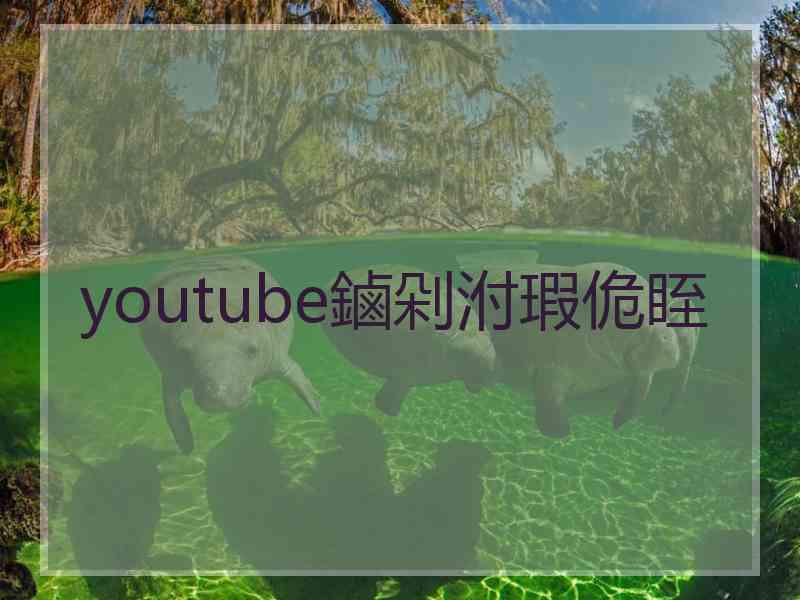 youtube鏀剁泭瑕佹眰