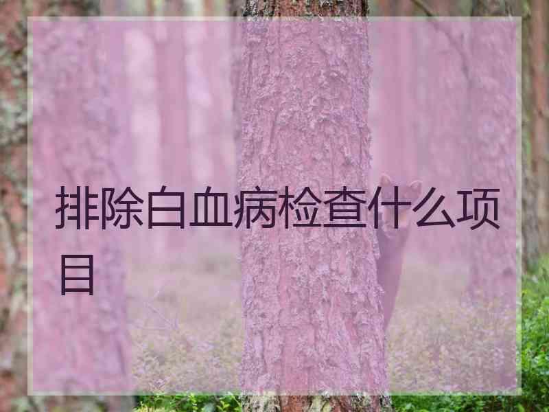 排除白血病检查什么项目