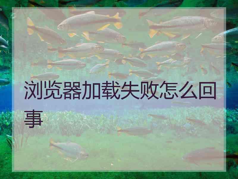 浏览器加载失败怎么回事