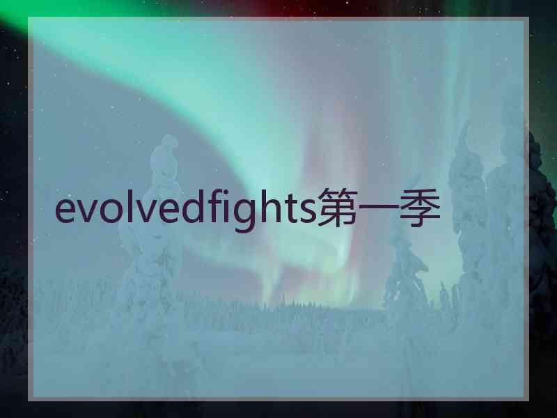 evolvedfights第一季