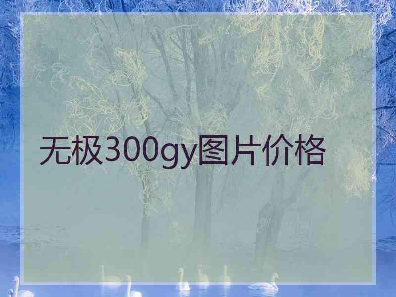 无极300gy图片价格