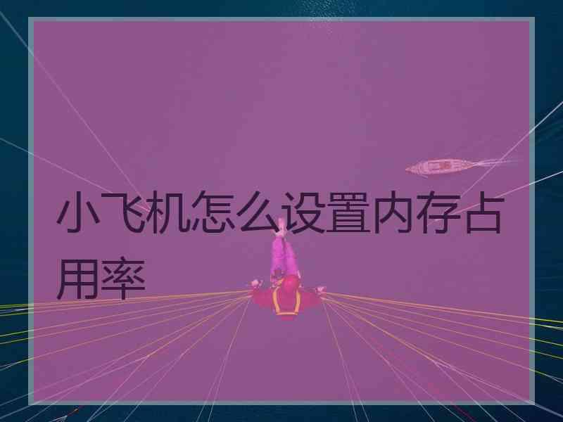 小飞机怎么设置内存占用率