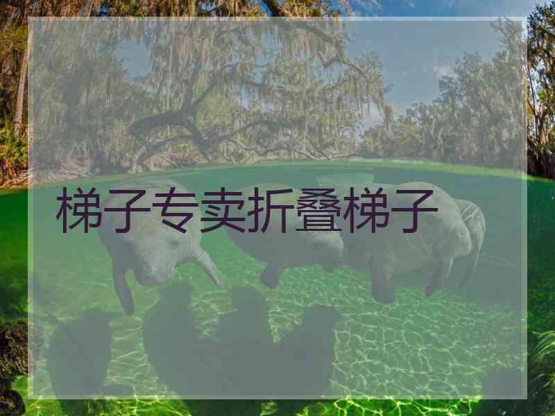 梯子专卖折叠梯子