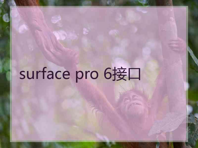 surface pro 6接口