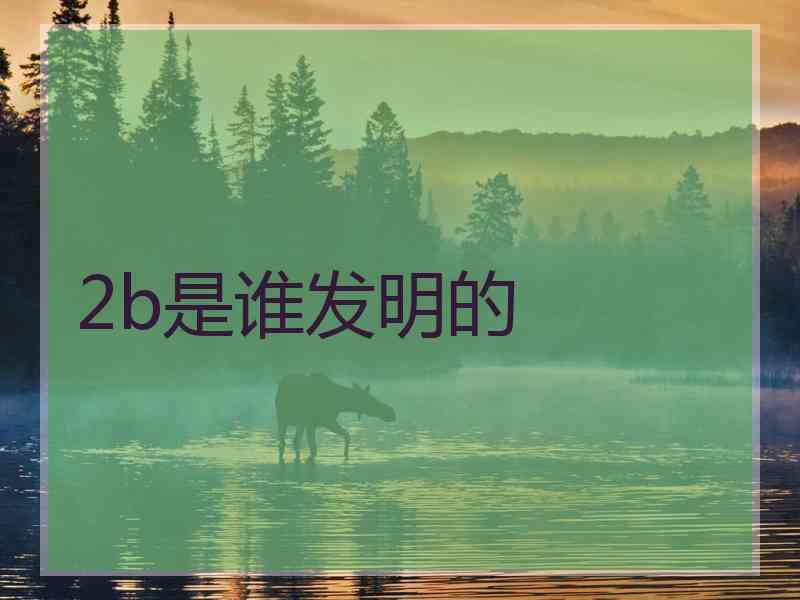 2b是谁发明的