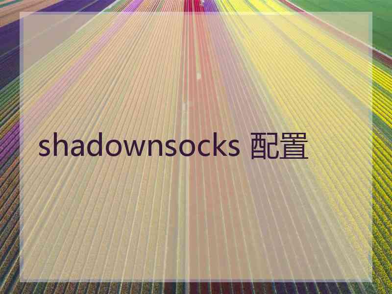 shadownsocks 配置