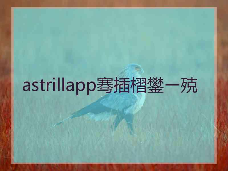 astrillapp骞插槢鐢ㄧ殑