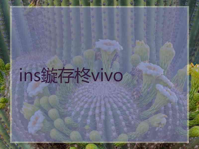 ins鏇存柊vivo