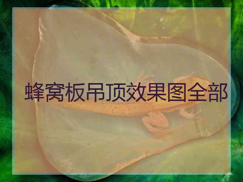 蜂窝板吊顶效果图全部