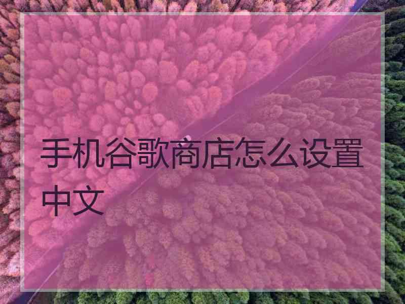 手机谷歌商店怎么设置中文