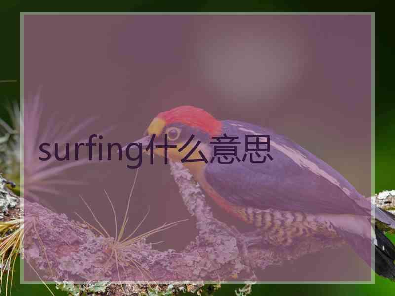 surfing什么意思