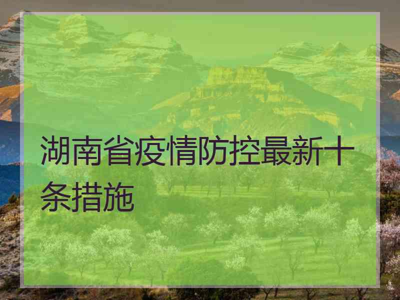 湖南省疫情防控最新十条措施