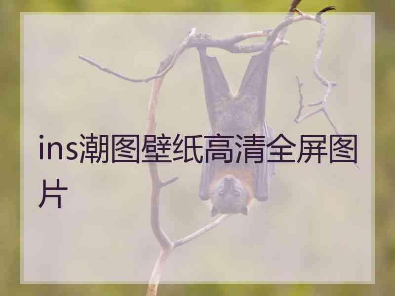 ins潮图壁纸高清全屏图片