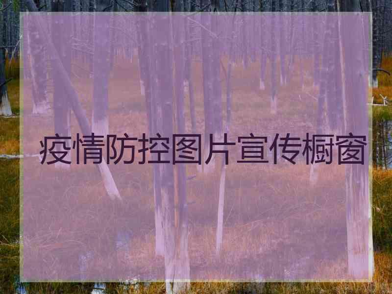 疫情防控图片宣传橱窗