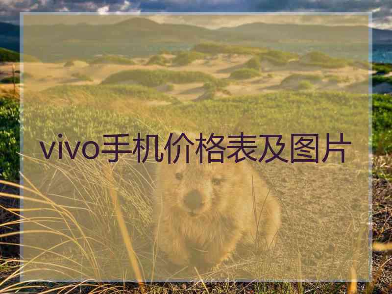 vivo手机价格表及图片