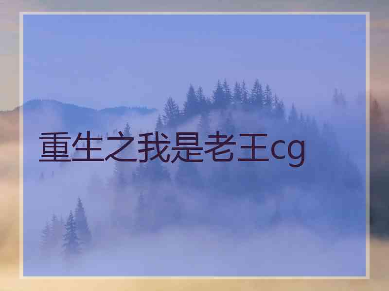 重生之我是老王cg