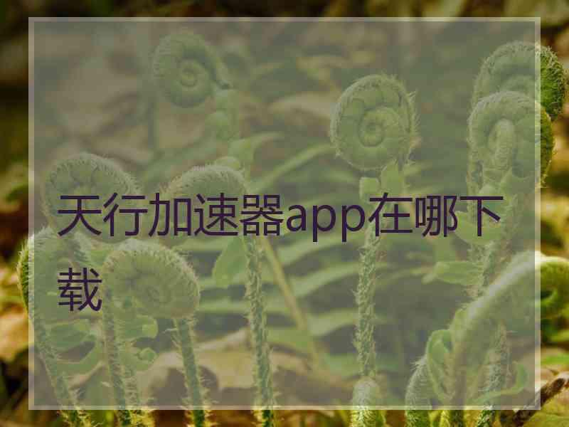 天行加速器app在哪下载