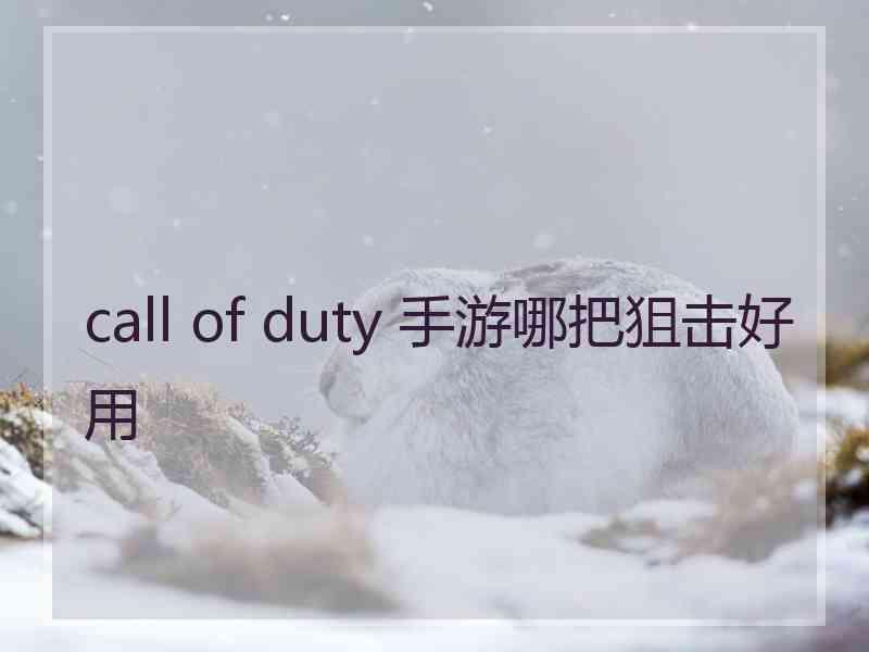 call of duty 手游哪把狙击好用