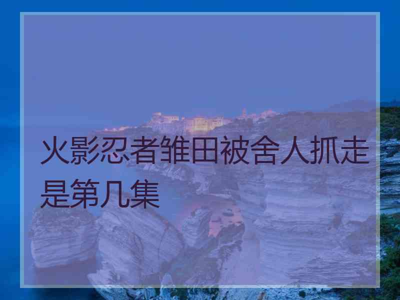 火影忍者雏田被舍人抓走是第几集