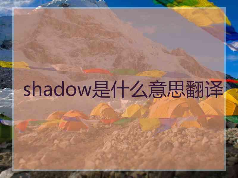 shadow是什么意思翻译