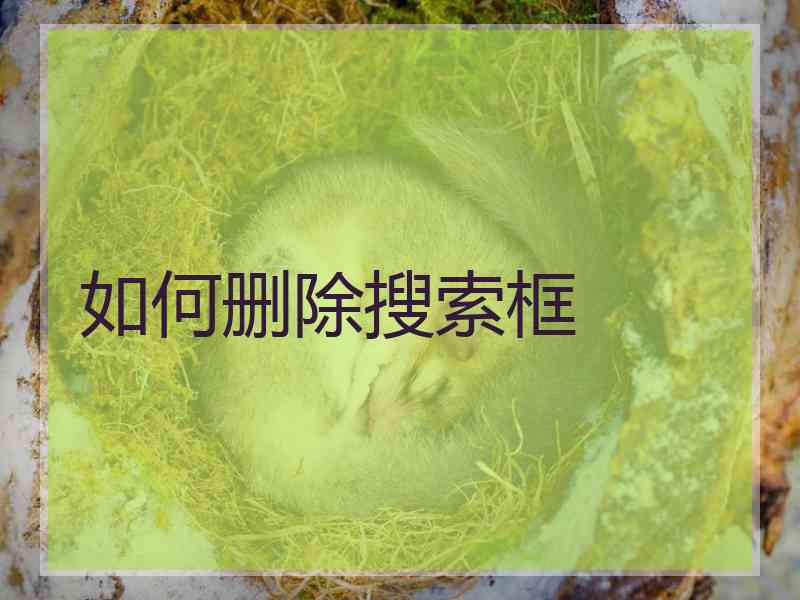 如何删除搜索框