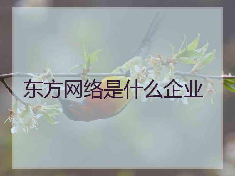 东方网络是什么企业