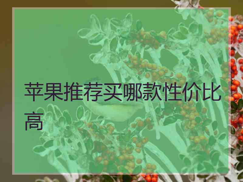 苹果推荐买哪款性价比高