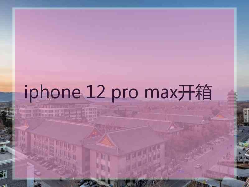 iphone 12 pro max开箱