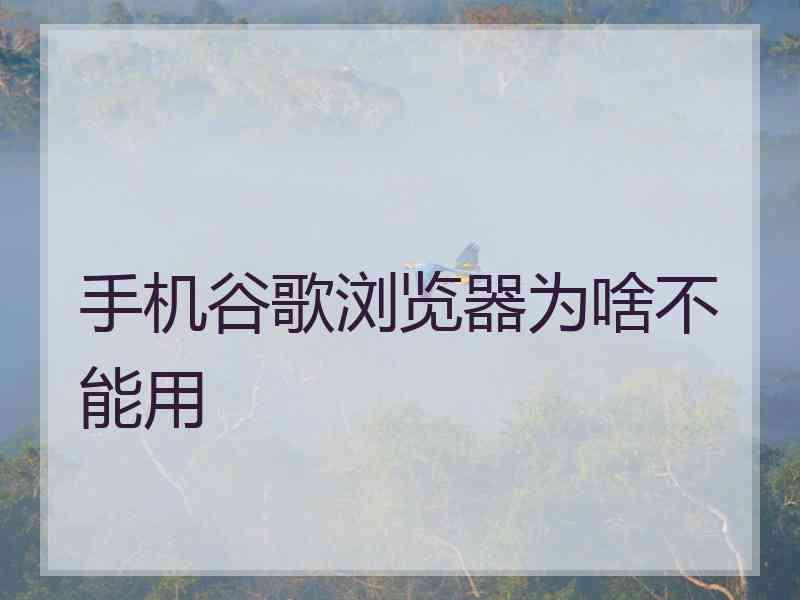 手机谷歌浏览器为啥不能用