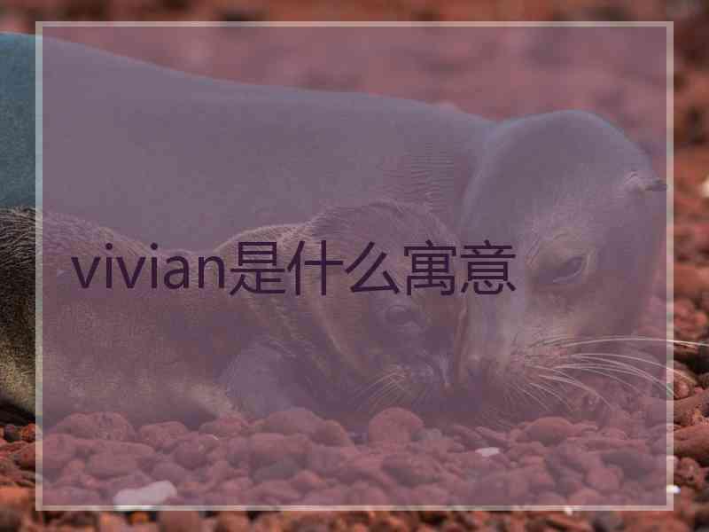 vivian是什么寓意