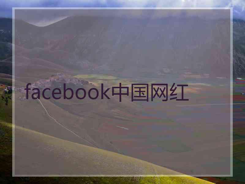 facebook中国网红