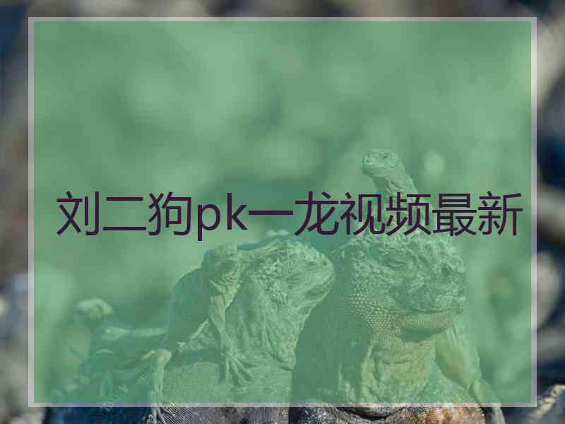 刘二狗pk一龙视频最新