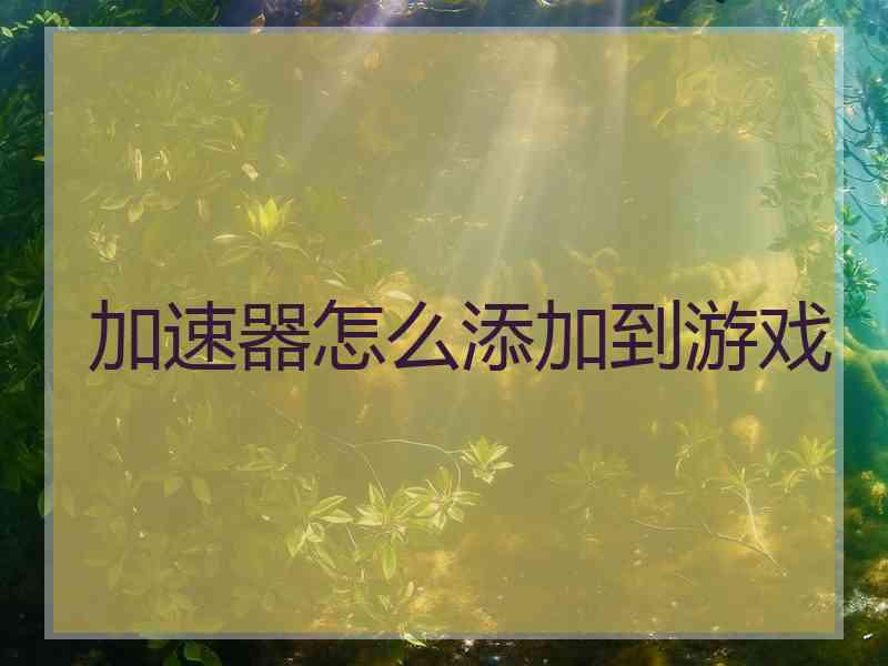 加速器怎么添加到游戏