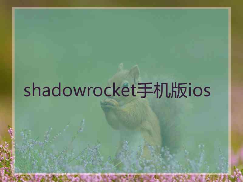 shadowrocket手机版ios