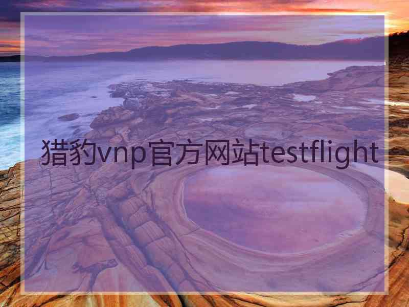 猎豹vnp官方网站testflight