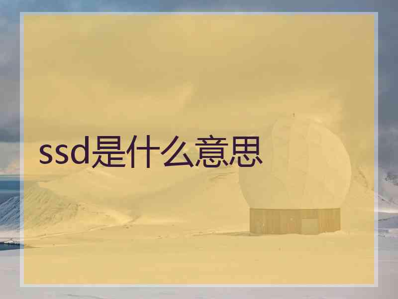 ssd是什么意思