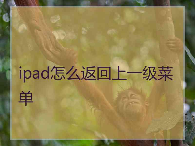 ipad怎么返回上一级菜单