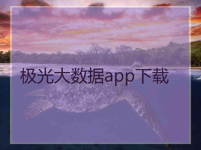 极光大数据app下载