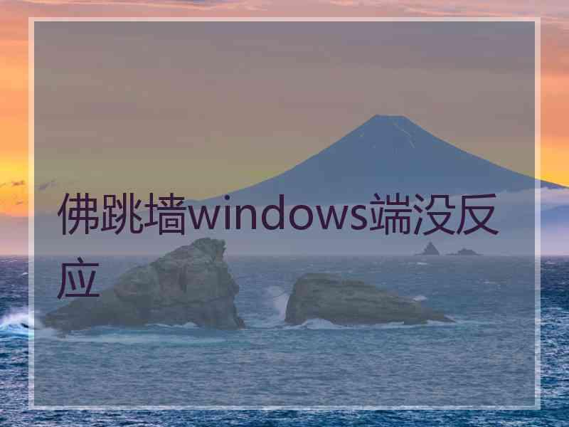 佛跳墙windows端没反应