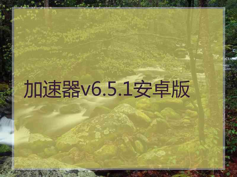 加速器v6.5.1安卓版